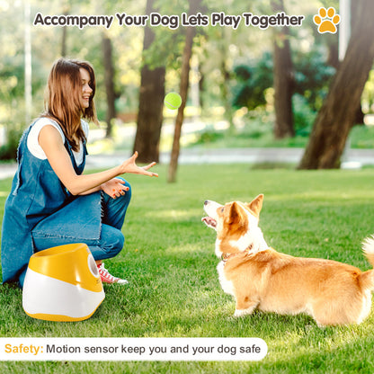 AeroFetch Pro