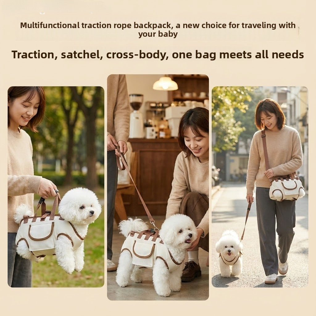 PawVoyage™ Carrier Backpack